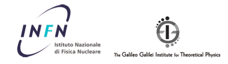 Sponsor: Futuro in Ricerca - INFN